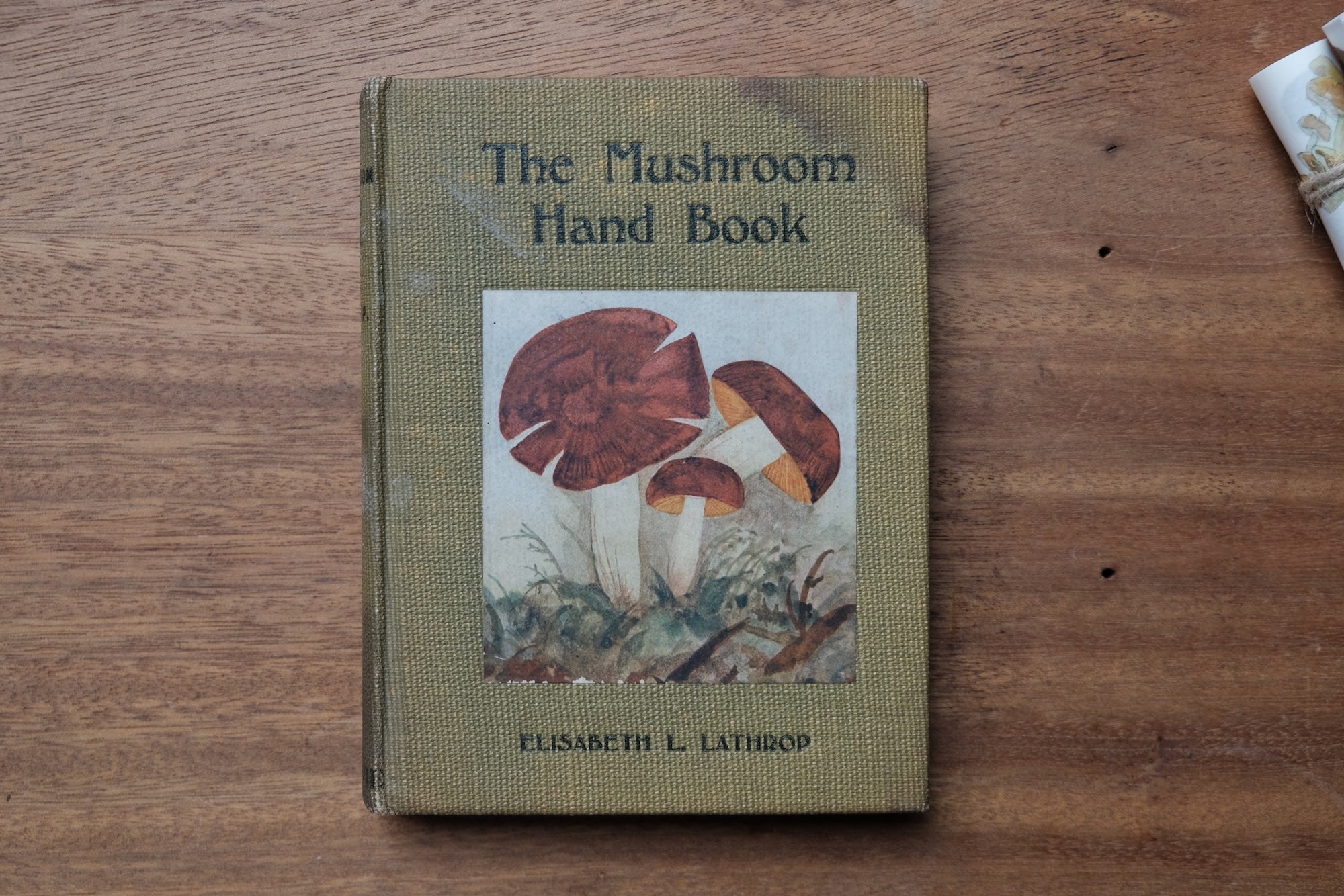 洋書 Mushrooms Smithsonian Handbooks: Mushrooms: Laessoe, Thomas, Edwards, Elwyn