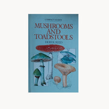 Compact Guide to Mushrooms and Toadstools