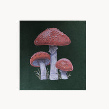 Mushroom Square Sketchbook