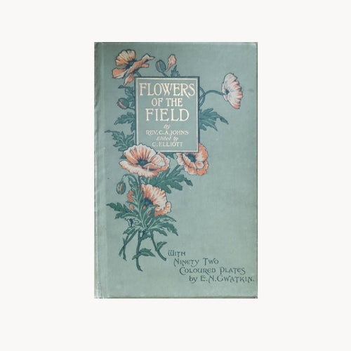 1900s Flowers of the Field