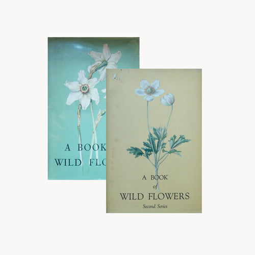 Set of 2 Watercolor Books on Wild Flowers by Elsa Felsko