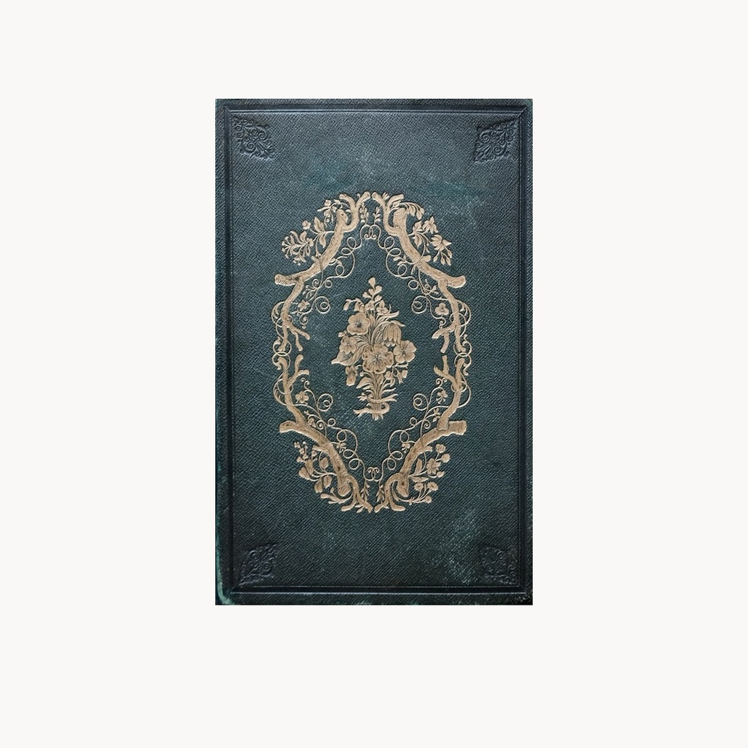Our Wild Flowers - Flaw Binding (not collectible)