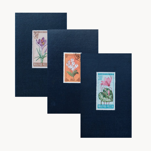 140lb Fabriano Watercolor Book-cover-Sketchbook (Pocket size)