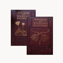Wayside & Woodland Blossoms