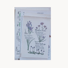 Vintage Floral Set for Junk Journaling/Scrapbooking