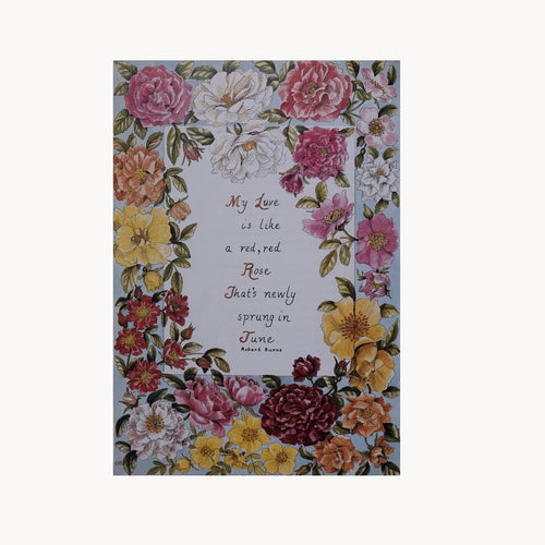 1990s Botanical/Drawing Book