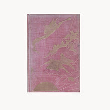 The Pink Fairy Book by Andrew Lang