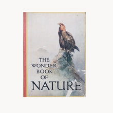 The Wonder Book of Nature