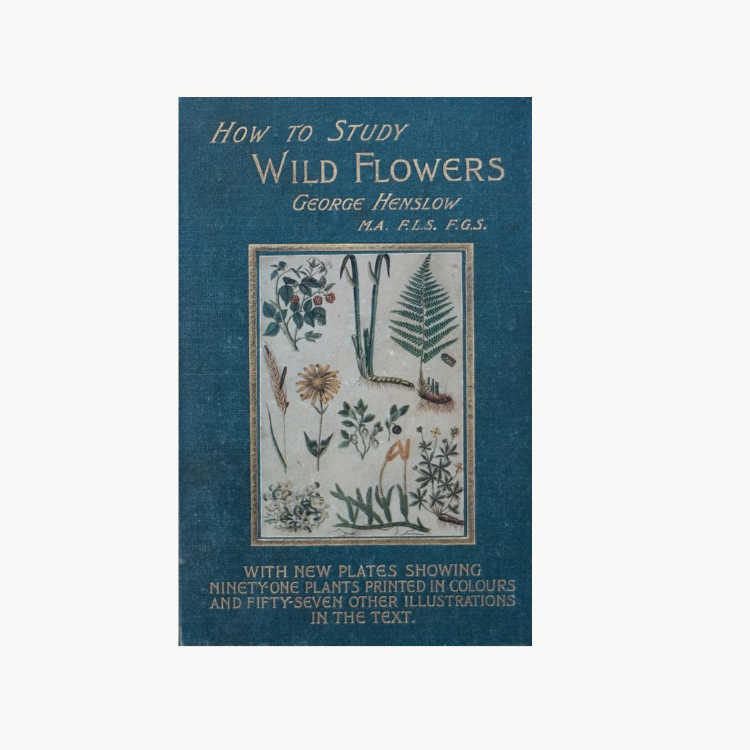 How to Study Wild Flowers