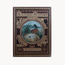 Natural History Stories For My Juvenile Friends