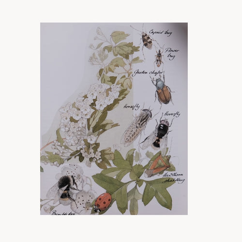1980s Botanical/Nature Book
