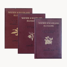Complete of Set of 3 Wayside and Woodland Blossoms