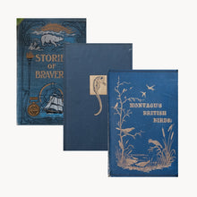 Three blue books with gold embossed designs on a white background