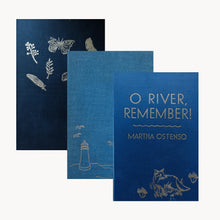 Book Cover Sticker Organizer/Budget Binder