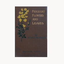 Fragrant Flowers and Leaves