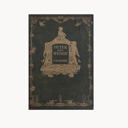 1911 Peter and Wendy by J.M. Barrie