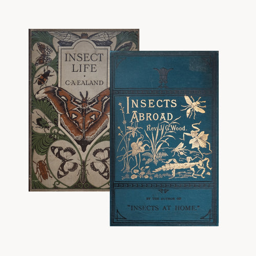 Vintage Insect Book