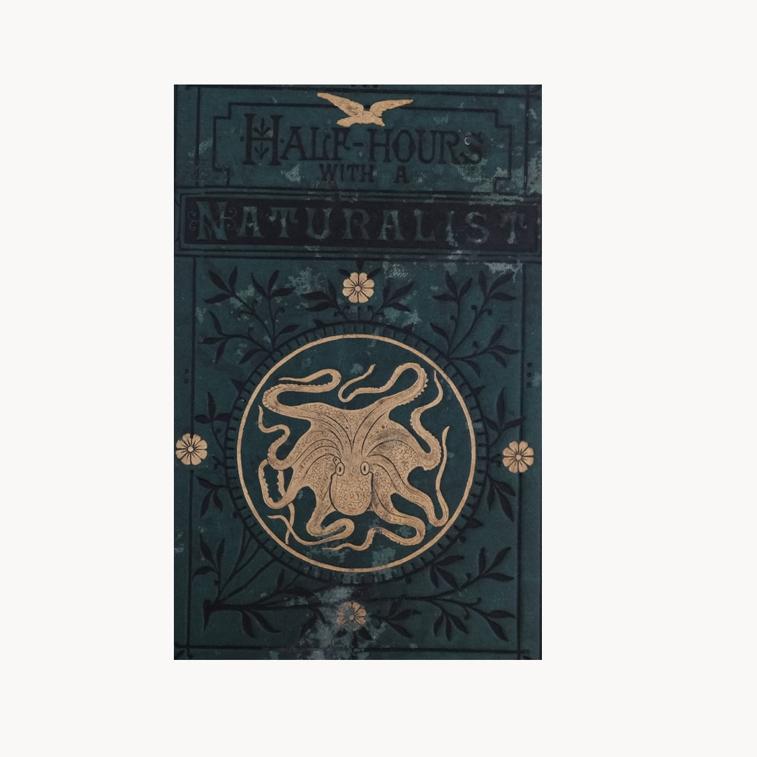 Vintage & Collectible Books – lescargot.papier