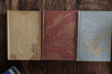 Very Rare Complete Set of Andrew Lang - The Color Fairy Books