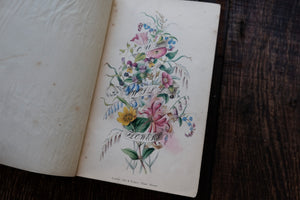 Our Wild Flowers - Flaw Binding (not collectible)