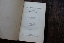 Our Wild Flowers - Flaw Binding (not collectible)
