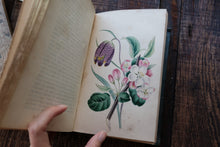 Our Wild Flowers - Flaw Binding (not collectible)