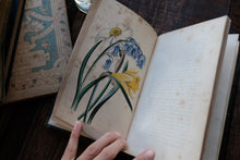 Our Wild Flowers - Flaw Binding (not collectible)