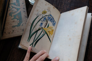 Our Wild Flowers - Flaw Binding (not collectible)