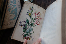 Our Wild Flowers - Flaw Binding (not collectible)