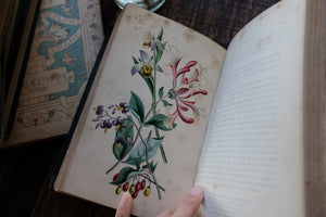 Our Wild Flowers - Flaw Binding (not collectible)