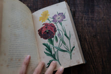Our Wild Flowers - Flaw Binding (not collectible)