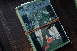 Casebound Repurposed Book-cover-Sketchbooks