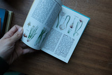 Decorative/Vintage Book