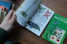 Decorative/Vintage Book