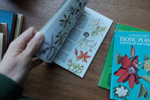 Decorative/Vintage Book
