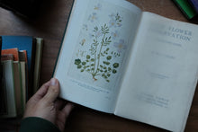 Decorative/Vintage Book