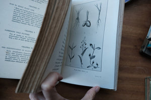 Decorative/Vintage Book