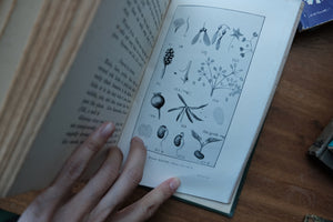 Decorative/Vintage Book