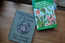 Decorative/Vintage Book
