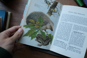 Decorative/Vintage Book