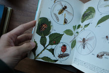 Decorative/Vintage Book
