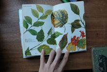 Decorative/Vintage Book