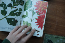 Decorative/Vintage Book
