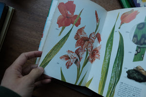 Decorative/Vintage Book