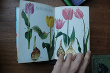 Decorative/Vintage Book