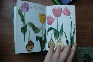 Decorative/Vintage Book