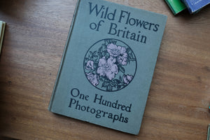 Decorative/Vintage Book