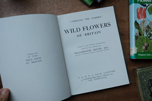 Decorative/Vintage Book