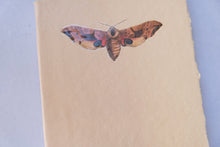 Nature Lined Journal with Decorative Moth