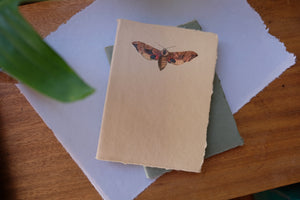 Nature Lined Journal with Decorative Moth